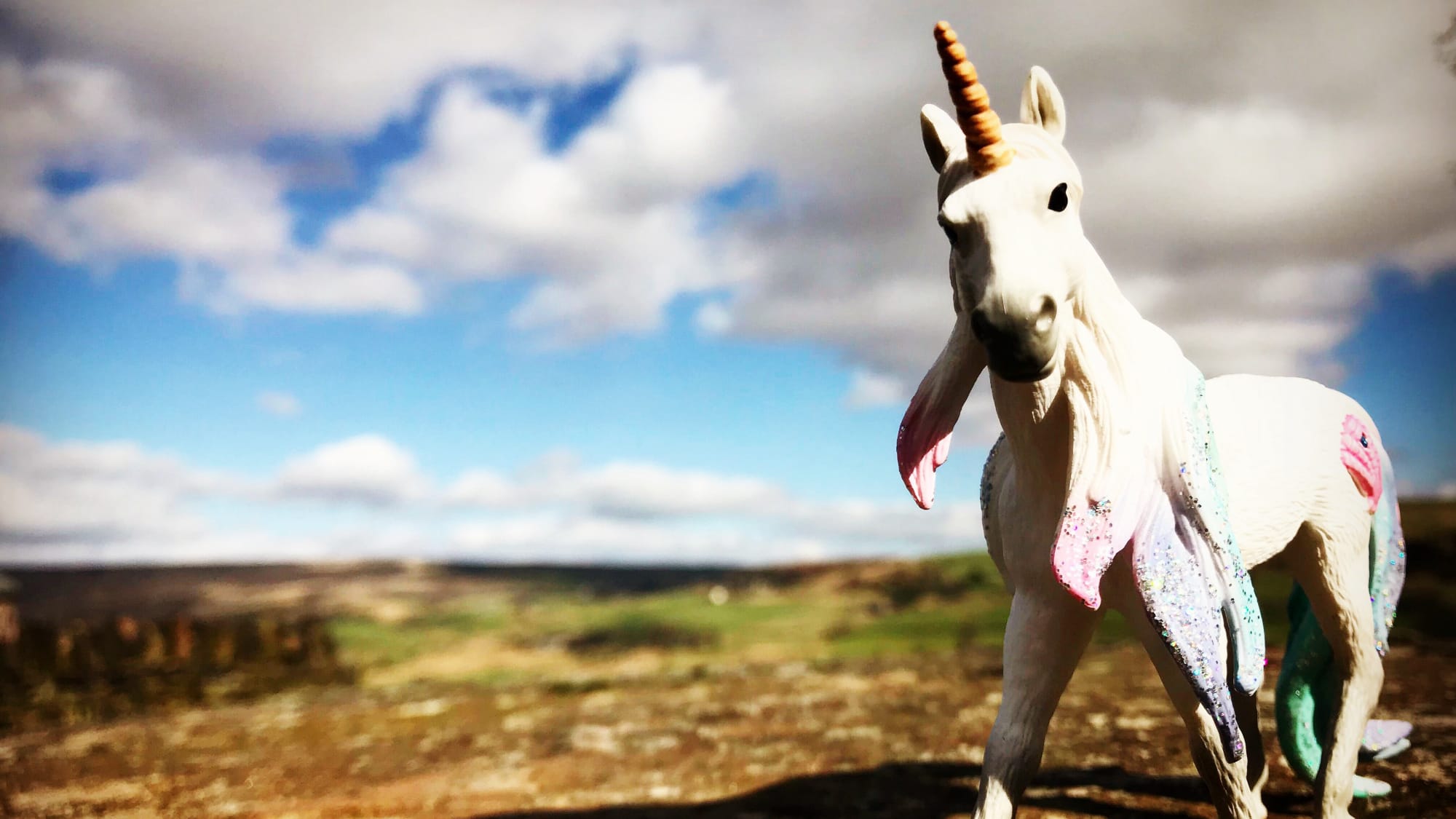 A Brief History of Unicorns