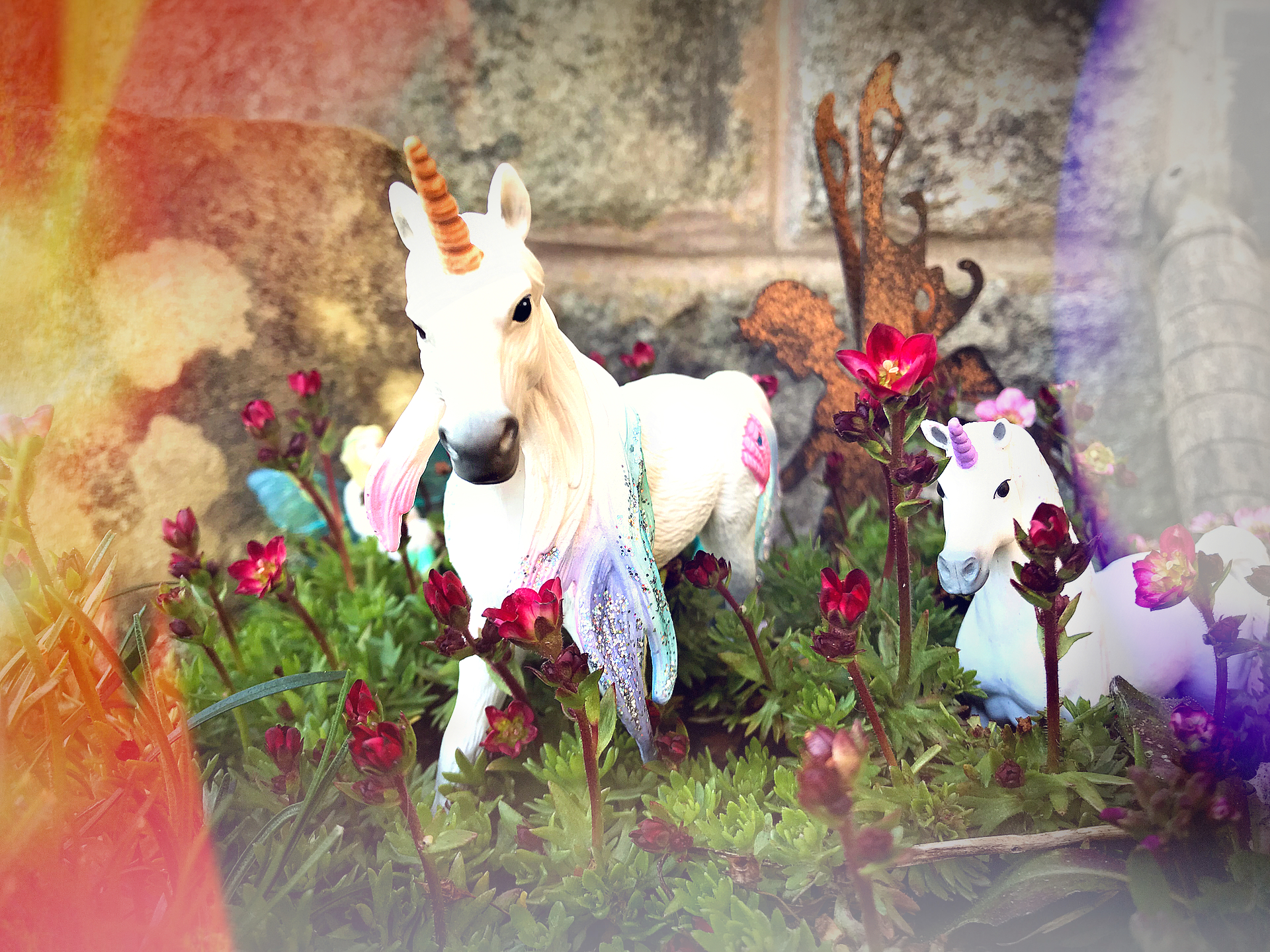 Learn about unicorn habitats and how you can spot them anywhere.